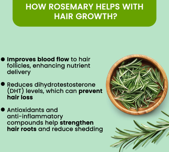 Alps Rosemary Water (100 ml | Hair Spray for Regrowth| (PACK OF 3)